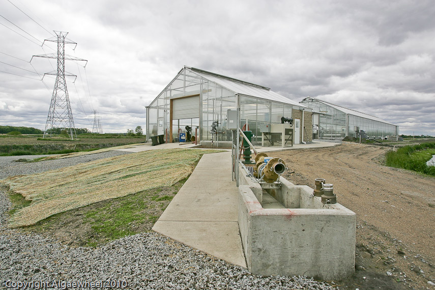 May 08, 2010