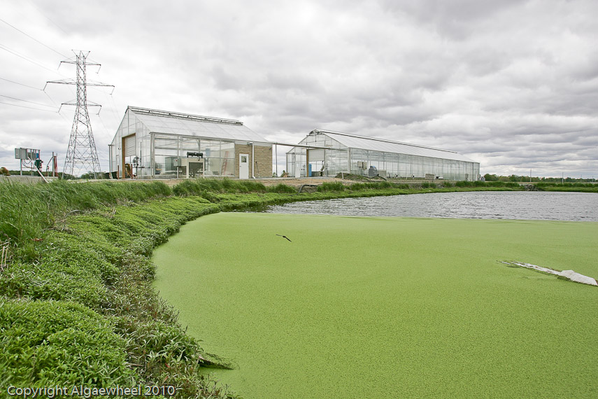 May 08, 2010