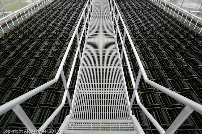 May 08, 2010