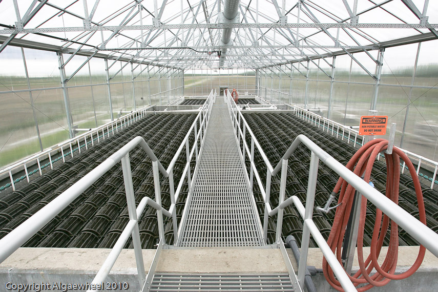 May 08, 2010